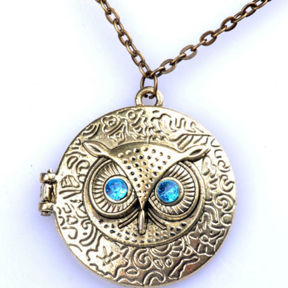 Bronze owl locket long necklace